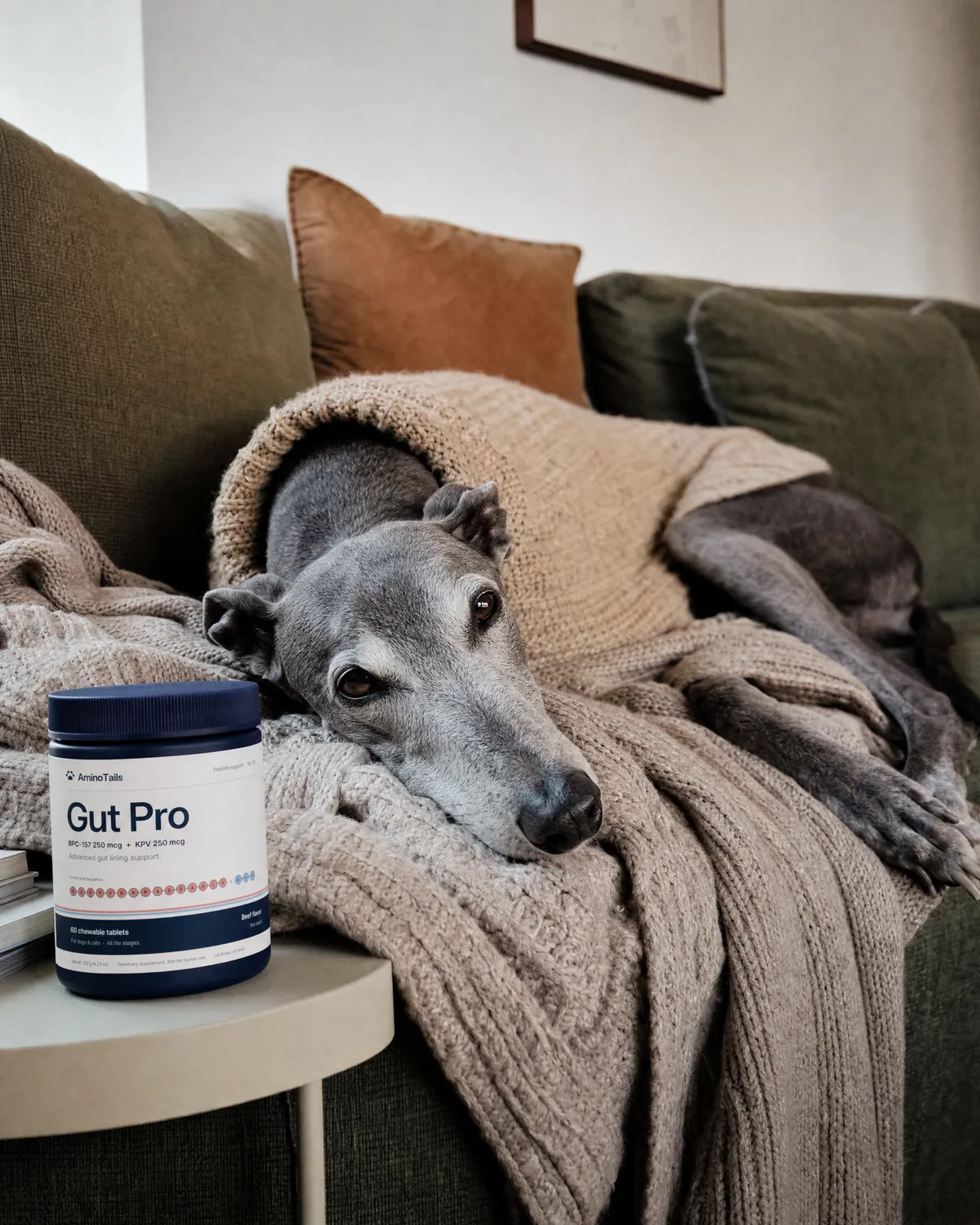 A pet with Gut Pro