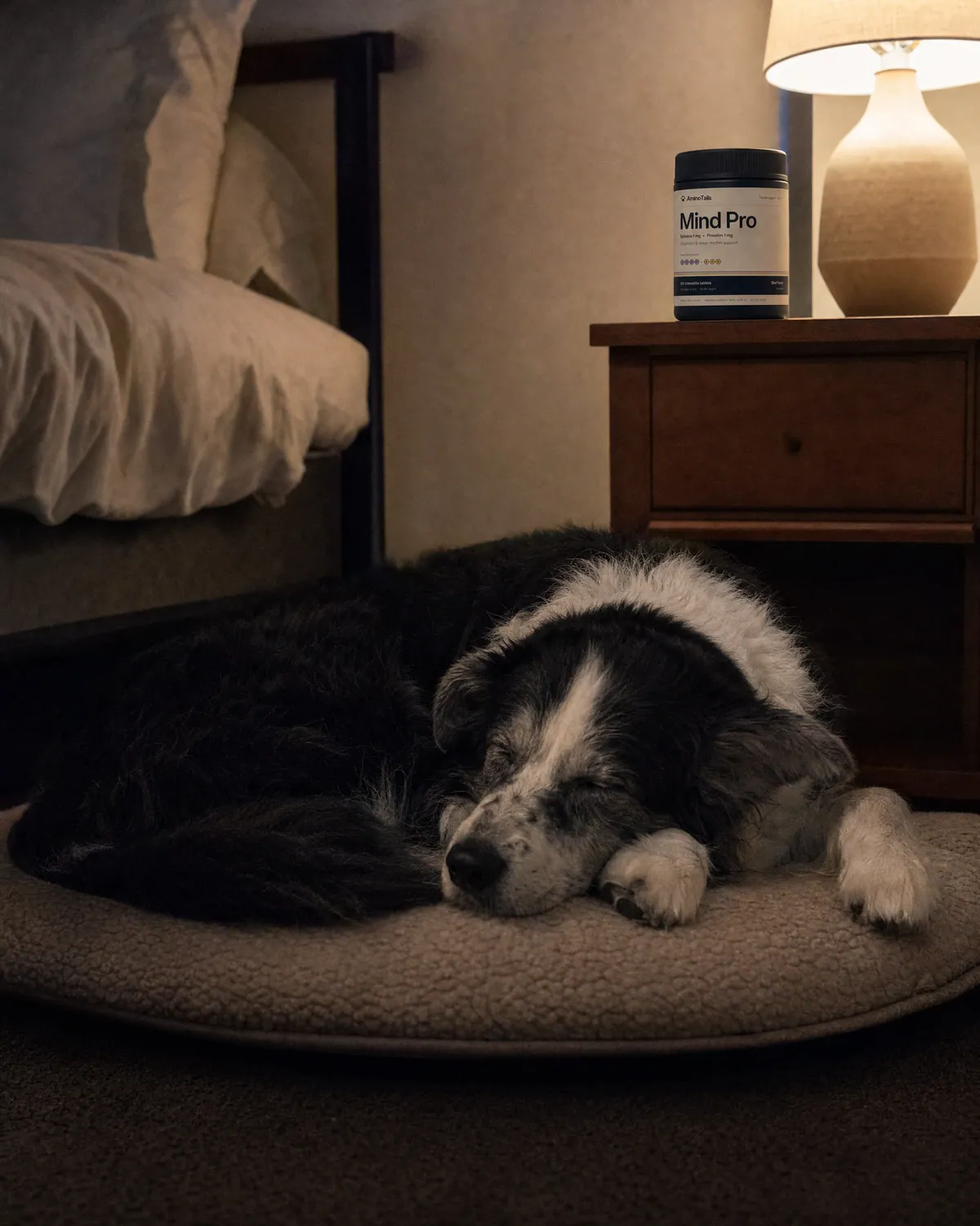 A pet with Mind Pro
